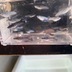 ランキングキーワードに紐づく投稿画像-メダカ