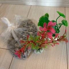 水槽セットの画像