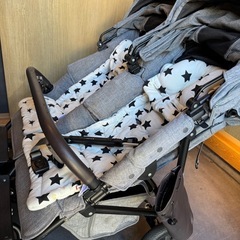 エアバギーココダブルEXフロムバースの画像