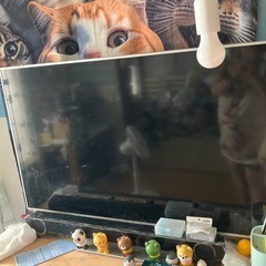 決まりましたPanasonicテレビ50型の画像