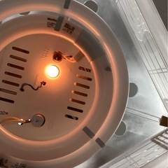 和式傘照明　リサイクルショップ宮崎屋　佐土原店　25.7.21Fの画像