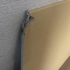タダ！無料！補修に最適！石膏ボード！燃えない建材！準不燃タイガーボード！の画像