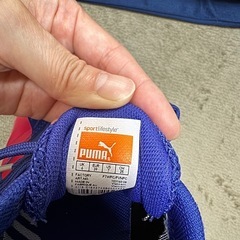 プーマ⭐︎女性用フットサルシューズ⭐︎美品ですの画像