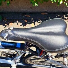 Bianchi カメレオンテ 2015製の画像