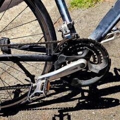 Bianchi カメレオンテ 2015製の画像