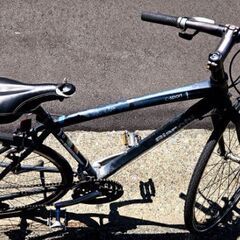 Bianchi カメレオンテ 2015製の画像