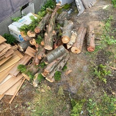 ⭐︎木材⭐︎薪⭐︎端材⭐︎まとめ売りの画像