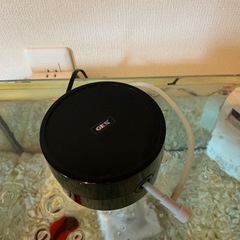金魚・水槽一式の画像