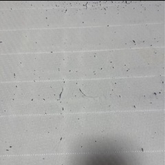 ニトリ シングルベッドの画像