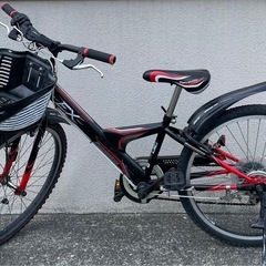 【商談中】ブリヂストン 自転車 エクスプレス ジュニア 24インチの画像