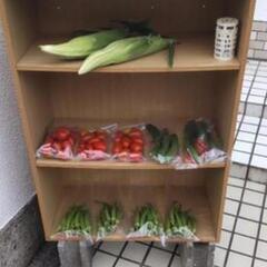 07/22収穫野菜の画像