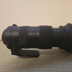 SIGMA 60-600mm F4.5-6.3 DG OS HSM | Sports（ニコンFマウント用）の画像
