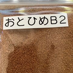 102：おとひめB2（めだか用エサ）50ｇの画像