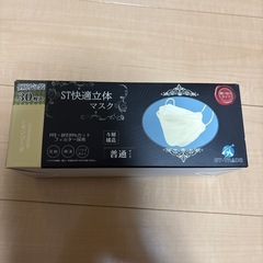 個包装マスク③の画像