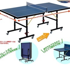 ファミリー卓球台の画像