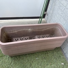 プランター　
の画像