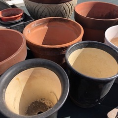 決定しました！
植木鉢　の画像