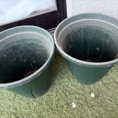 プランターの画像
