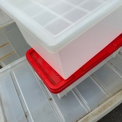 透明 ケース　5個　まとめての画像