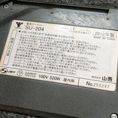 0721-197 【無料】 ホットカーペットの画像