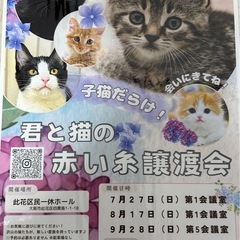 7月27日(日)君と猫の赤い糸譲渡会