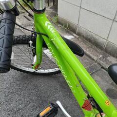 ルイガノ 20インチ 自転車の画像