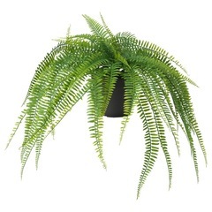 IKEA FEJKA イケア フェイカ シダ の画像