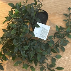 IKEA FEJKA イケア フェイカの画像