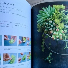 本・多肉植物の寄せ植えの画像