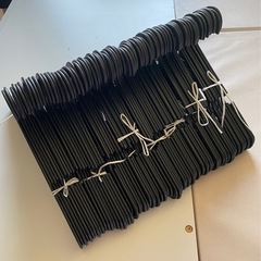 プラスチックバンガー77本の画像