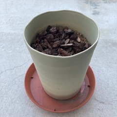 植木鉢の画像