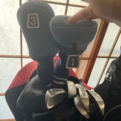 レディースゴルフの画像