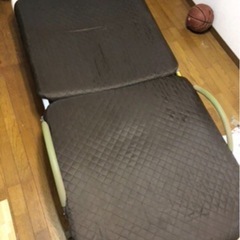 折りたたみ式ペットの画像