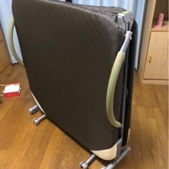 折りたたみ式ペットの画像