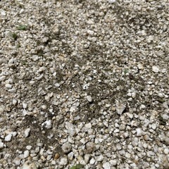 庭土(山砂、
小砂利入り)お譲りしますの画像