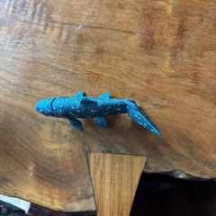 シーラーカンス　置き物の画像