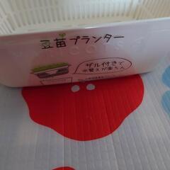豆苗プランター 未使用の画像