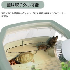 亀飼育ケースの画像
