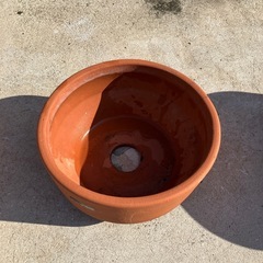 植木鉢🪴❷の画像