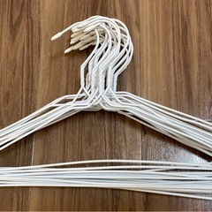 バスタオルハンガー×2とハンガー×21の画像