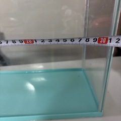 水槽
の画像