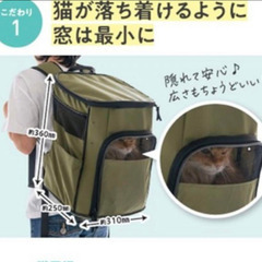 猫用キャリーリュック　グリーンの画像