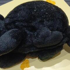 【未使用】わちふぃーるどのポケットティッシュのぬいぐるみカバー(チップ)の画像
