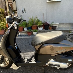 ホンダ トゥデイ AF67 FI 後期最終モデル 整備済み 不具合無し 調子良いよ！　引き取り限定　動画ありの画像