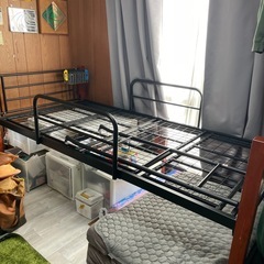 システムベットの画像