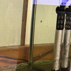 GEX 水槽の画像