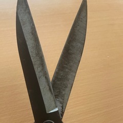 枝　刈り込み鋏の画像