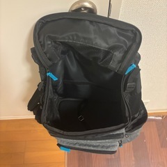 【ペットパラダイス】ハグ＆リュック　キャリーバッグの画像