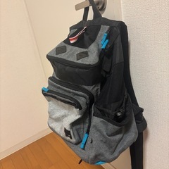 【ペットパラダイス】ハグ＆リュック　キャリーバッグの画像