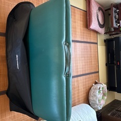 アースライトヒーリングベッドの画像